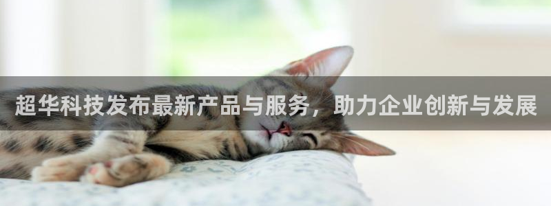 超华科技发布最新产品与服务，助力企业创新与发展