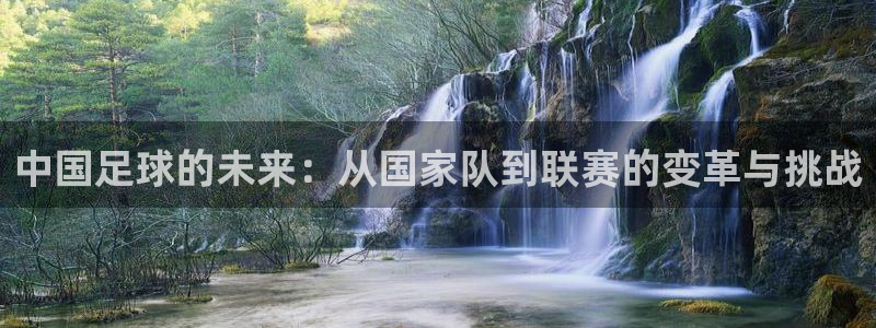 中国足球的未来：从国家队到联赛的变革与挑战